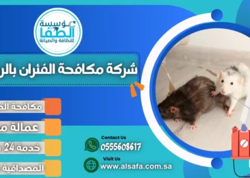 شركة مكافحة الفئران بالرياض