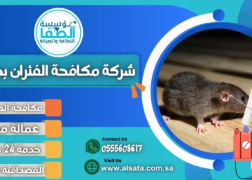 شركة مكافحة الفئران بجدة