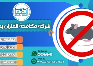 شركة مكافحة الفئران بمكة