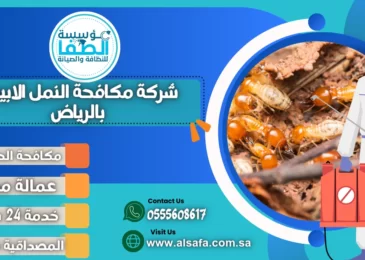 شركة مكافحة النمل الابيض بالرياض