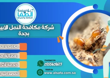 شركة مكافحة النمل الابيض بجدة