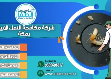 شركة مكافحة النمل الابيض بمكة